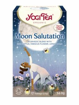 yogi tea moon salution